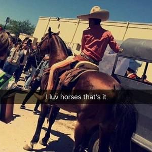 Meet your Posher, Gabriel